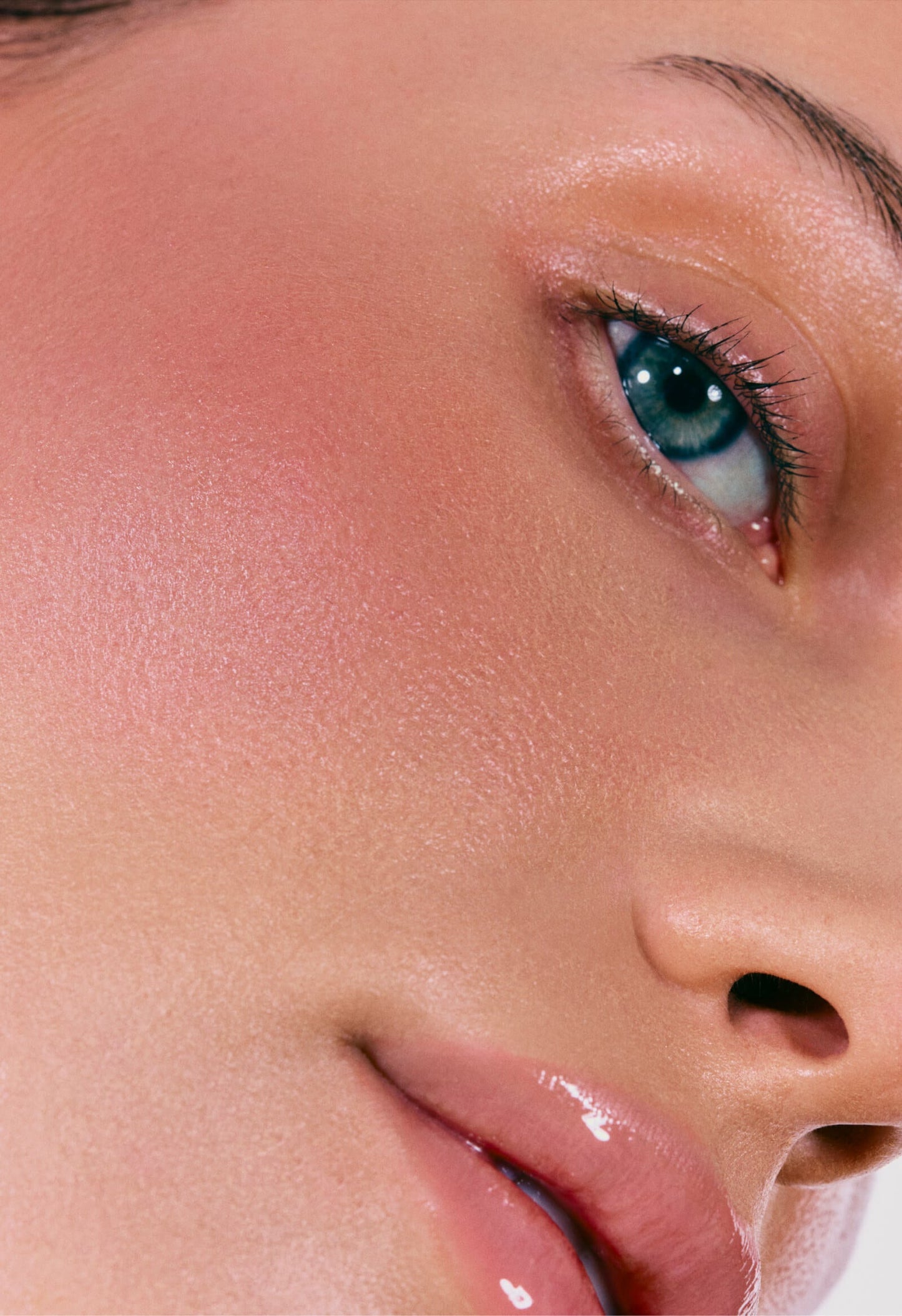 the duos piggy + ribbon